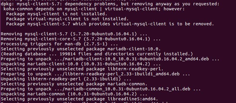 Step 6 MariaDB Installation Part 2