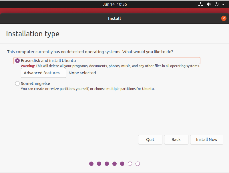 Ubuntu Installation Type